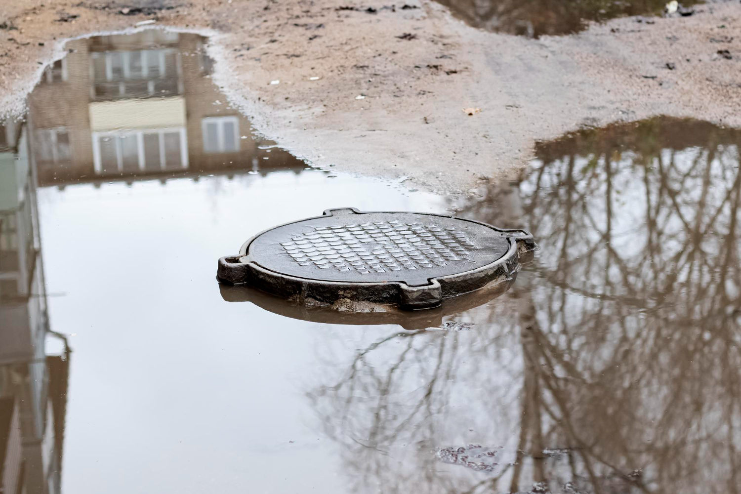 The Day the Toilet Stood Still: What to Do in a Septic Emergency
